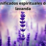 El profundo significado espiritual detrás de la fragancia de la alfazema.