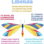 Explorando el Significado Espiritual y Simbólico de la Libélula