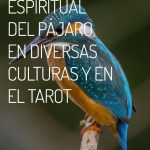 Interpretación y Significado Espiritual de los Pájaros en Diversas Culturas